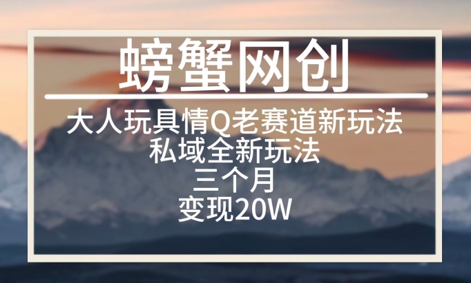 大人玩具情Q用品赛道私域全新玩法,三个月变现20W,老项目新思路【揭秘】-轻创社项目网