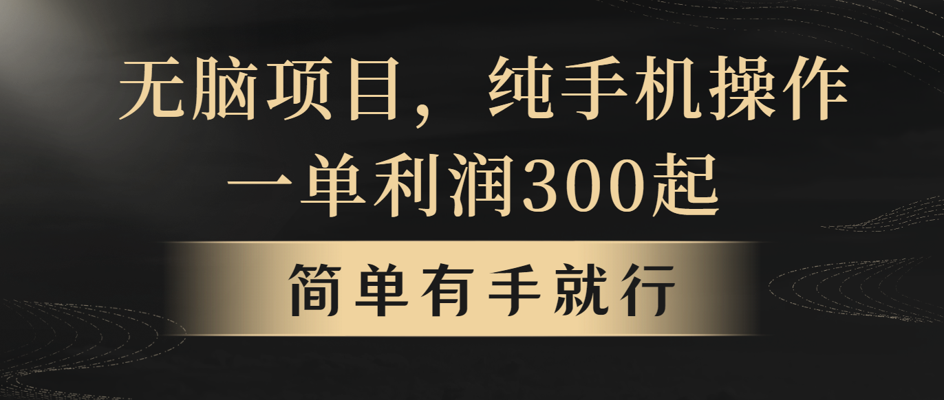图片[1]-（10589期）无脑项目，一单几百块，轻松月入5w+，看完就能直接操作