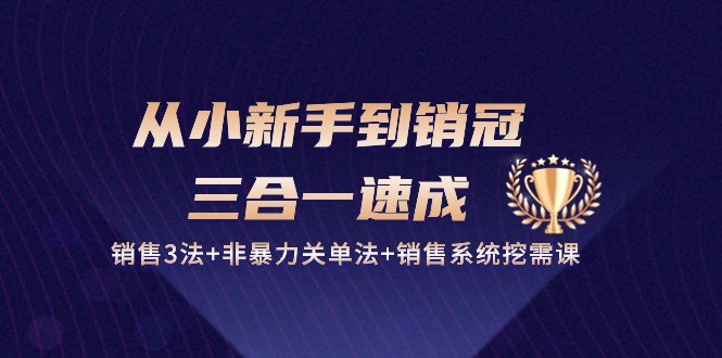 从小新手到销冠三合一速成:销售3法+非暴力关单法+销售系统挖需课 (27节)-轻创社项目网