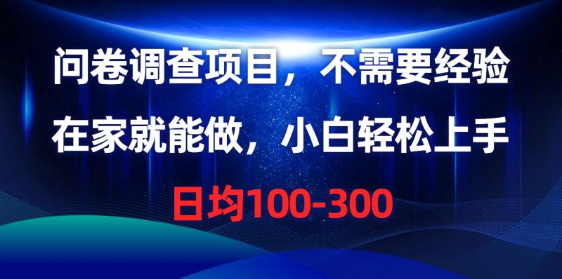 (10402期)问卷调查项目,不需要经验,在家就能做,小白轻松上手,日均100-300-轻创社项目网