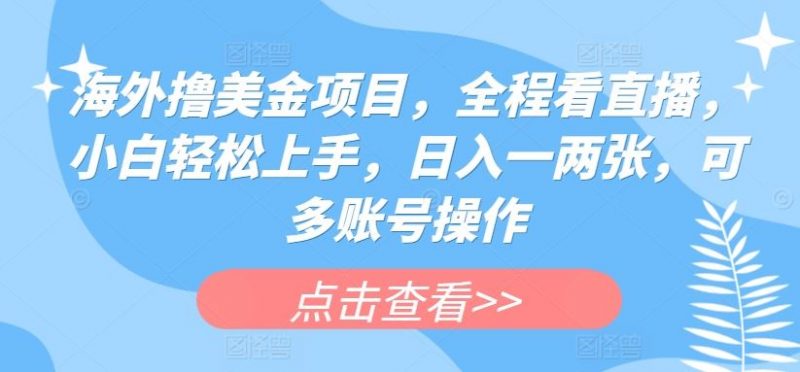 海外撸美金项目,全程看直播,小白轻松上手,日入一两张,可多账号操作【揭秘】-轻创社项目网