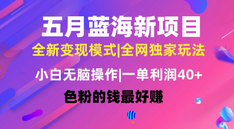 (10477期)五月蓝海项目全新玩法,小白无脑操作,一天几分钟,矩阵操作,月入4万+-轻创社项目网