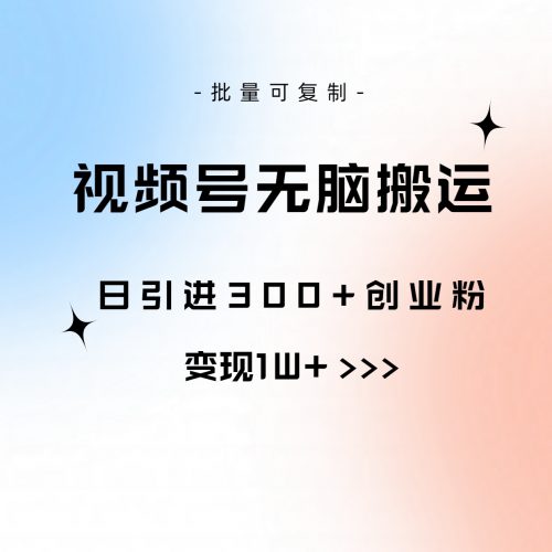 (10612期)视频号无脑搬运日引300+创业粉,变现1W+可批量复制-轻创社项目网