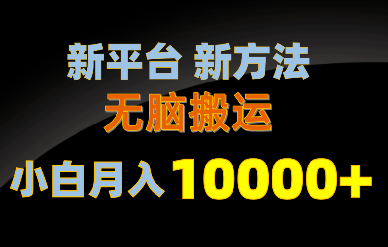(10605期)新平台新方法,无脑搬运,月赚10000+,小白轻松上手不动脑-轻创社项目网