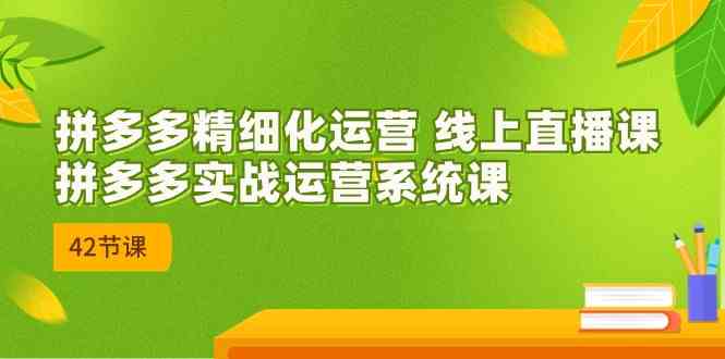 拼多多精细化运营 线上直播课:拼多多实战运营系统课(更新47节)-轻创社项目网