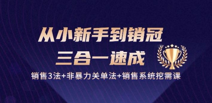 从小新手到销冠 三合一速成:销售3法+非暴力关单法+销售系统挖需课 (27节)-轻创社项目网