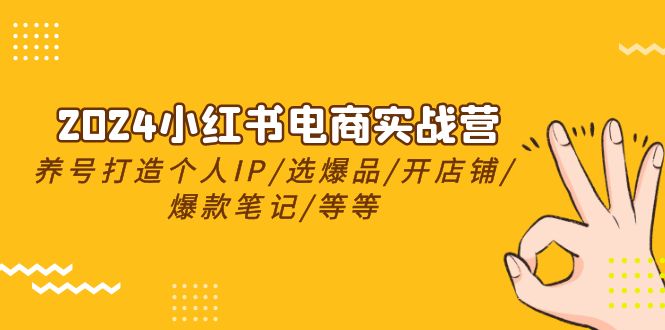 (10375期)2024小红书电商实战营,养号打造IP/选爆品/开店铺/爆款笔记/等等(24节)-轻创社项目网