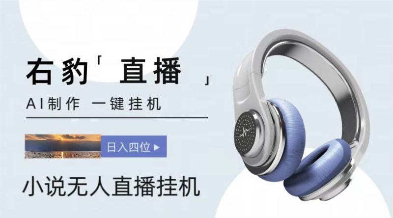 右豹小说无人直播挂机吸金项目,简单易行收益稳定, 月入1000+-轻创社项目网