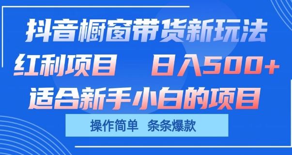 抖音橱窗带货新玩法,单日收益几张,操作简单,条条爆款【揭秘】-轻创社项目网