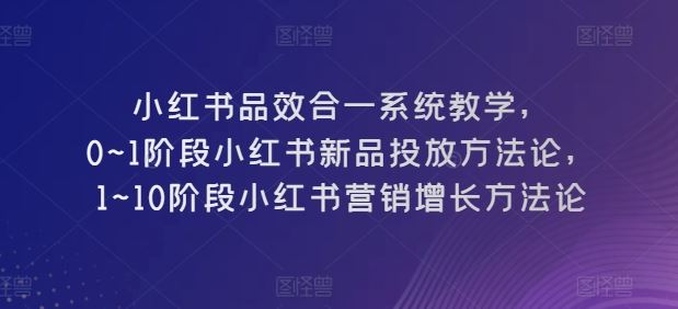 小红书品效合一系统教学,?0~1阶段小红书新品投放方法论,?1~10阶段小红书营销增长方法论-轻创社项目网