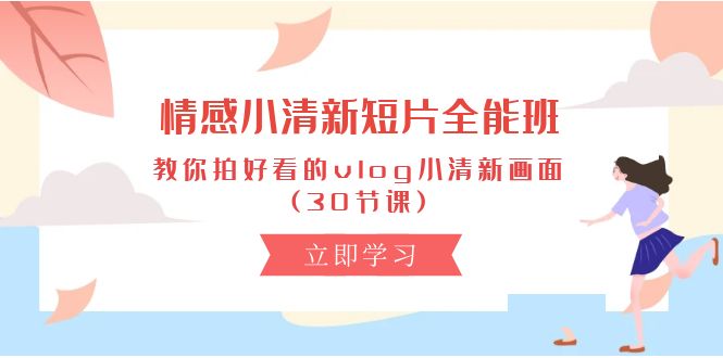 (10567期)情感 小清新短片-全能班,教你拍好看的vlog小清新画面 (30节课)-轻创社项目网
