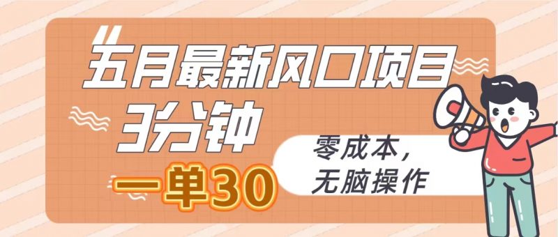 (10256期)五月最新风口项目,3分钟一单30,零成本,无脑操作-轻创社项目网