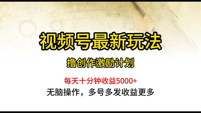 (10591期)视频号最新玩法,每日一小时月入5000+-轻创社项目网
