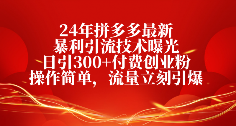 (10559期)24年拼多多最新暴利引流技术曝光,日引300+付费创业粉,操作简单,流量…-轻创社项目网