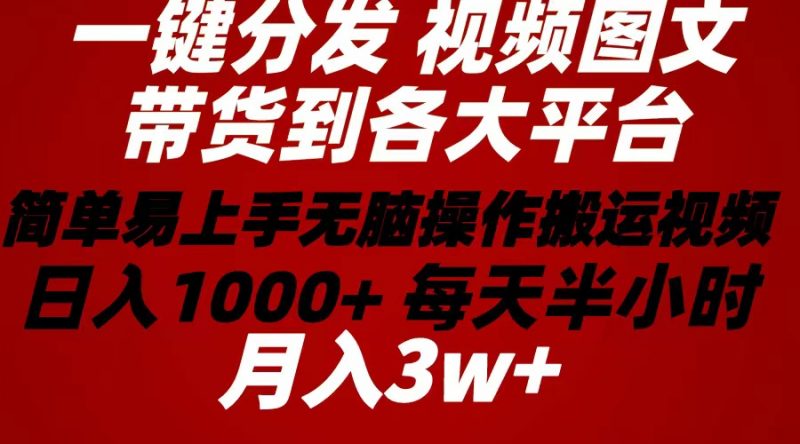 (10667期)2024年 一键分发带货图文视频 简单易上手 无脑赚收益 每天半小时日入1…-轻创社项目网