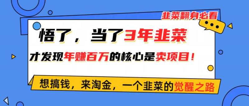 (10759期)悟了,当了3年韭菜,才发现网赚圈年赚100万的核心是卖项目,含泪分享!-轻创社项目网