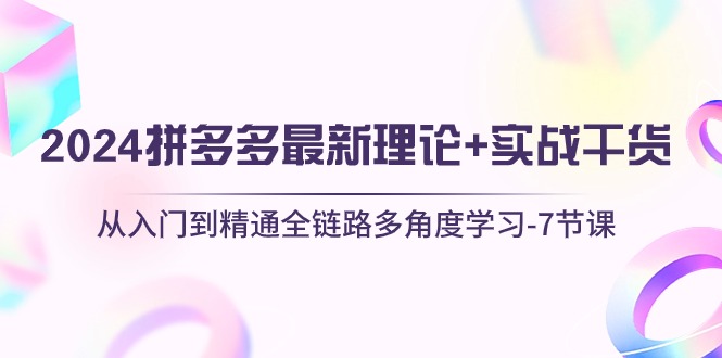 (10816期)2024拼多多 最新理论+实战干货,从入门到精通全链路多角度学习-7节课-轻创社项目网