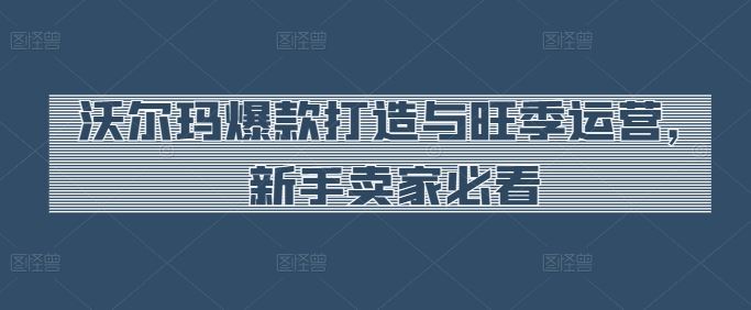 沃尔玛爆款打造与旺季运营,新手卖家必看-轻创社项目网