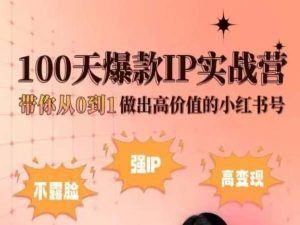 小红书100天爆款IP实战营,带你从0到1做出高价值的小红书号-轻创社项目网