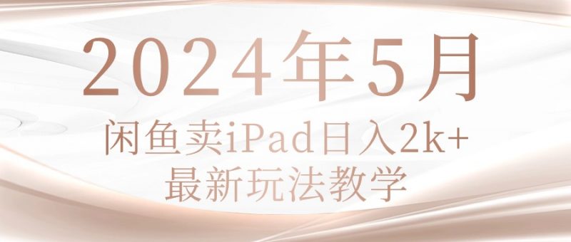 (10459期)2024年5月闲鱼卖ipad日入2k,最新玩法教学-轻创社项目网
