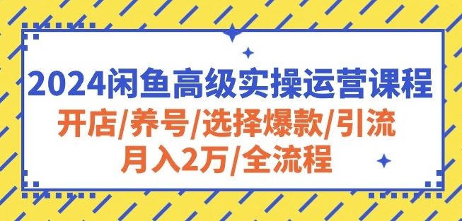 2024闲鱼高级实操运营课程:开店/养号/选择爆款/引流/月入2万/全流程-轻创社项目网