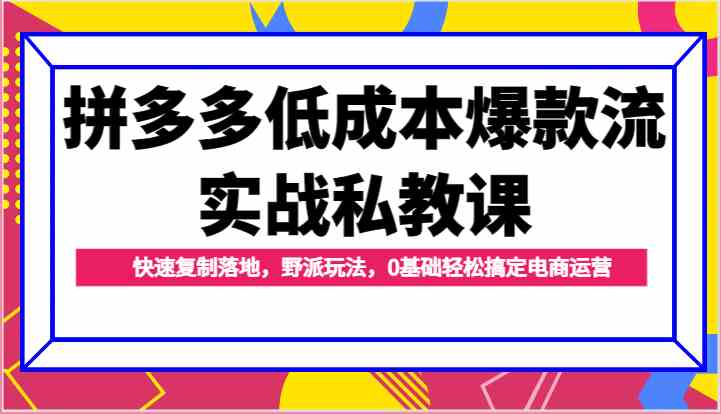 拼多多低成本爆款流实战私教课,快速复制落地,野派玩法,0基础轻松搞定电商运营-轻创社项目网