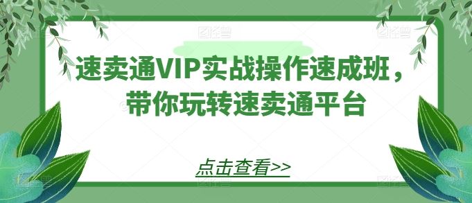 速卖通VIP实战操作速成班,带你玩转速卖通平台-轻创社项目网