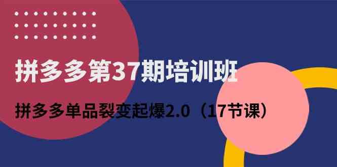 拼多多第37期培训班:拼多多单品裂变起爆2.0(17节课)-轻创社项目网