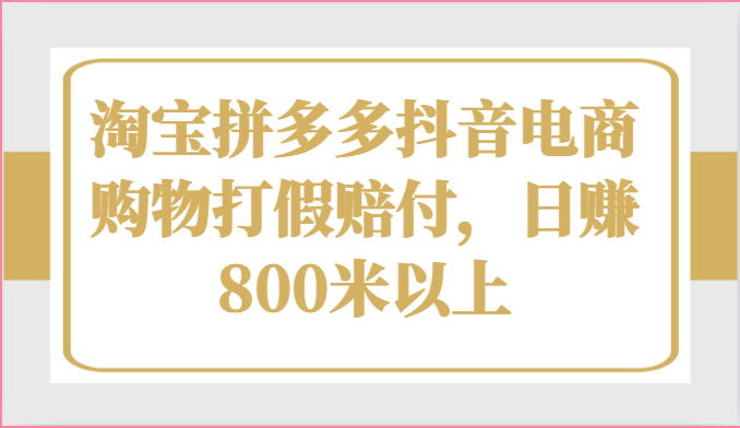 淘宝拼多多抖音电商购物打假赔付,日赚800米以上-轻创社项目网