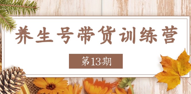 养生号带货训练营【第13期】收益更稳定的玩法,让你带货收益爆炸-轻创社项目网