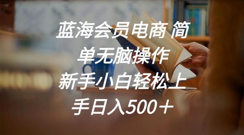 (11068期)蓝海会员电商 简单无脑操作 新手小白轻松上手日入500+-轻创社项目网