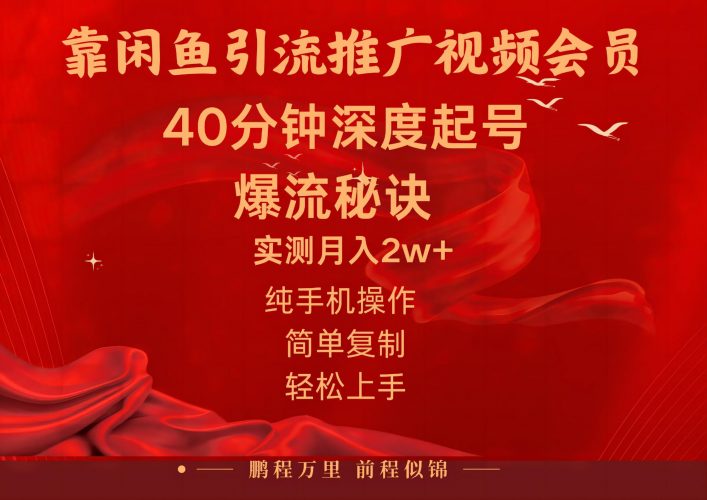 (10895期)闲鱼暴力引流推广视频会员,能做到日入2W+,操作简单-轻创社项目网