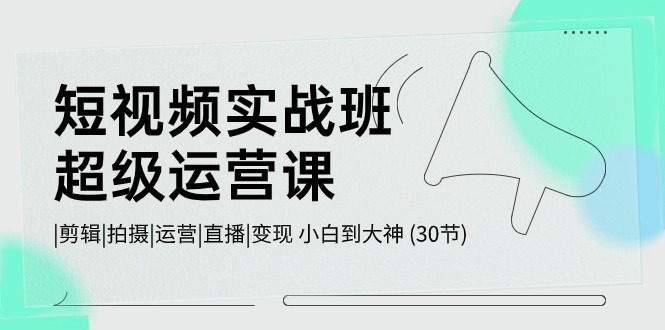 短视频实战班超级运营课 |剪辑|拍摄|运营|直播|变现 小白到大神 (30节)-轻创社项目网