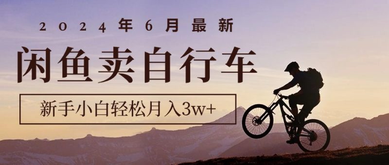 (10915期)2024年6月最新闲鱼卖自行车,新手小白轻松月入3w+项目-轻创社项目网
