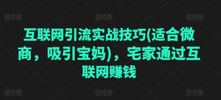 互联网引流实战技巧(适合微商,吸引宝妈),宅家通过互联网赚钱-轻创社项目网