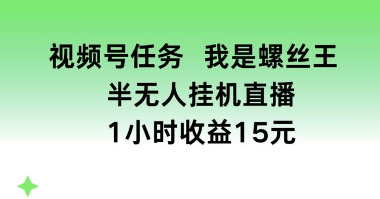 视频号任务,我是螺丝王, 半无人挂机1小时收益15元【揭秘】-轻创社项目网