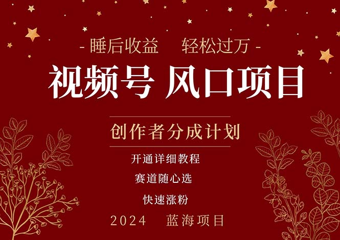(11331期)拥有睡眠收益的微信视频号大风口项目,轻松月入过万+,多赛道选择,可…-轻创社项目网