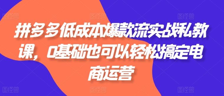 拼多多低成本爆款流实战私教课,0基础也可以轻松搞定电商运营-轻创社项目网