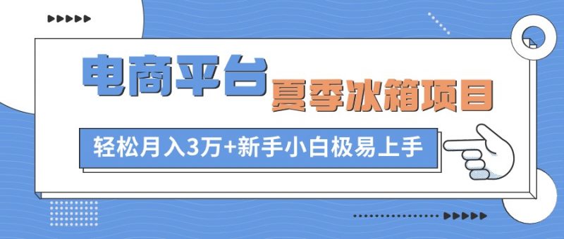 (10934期)电商平台夏季冰箱项目,轻松月入3万+,新手小白极易上手-轻创社项目网