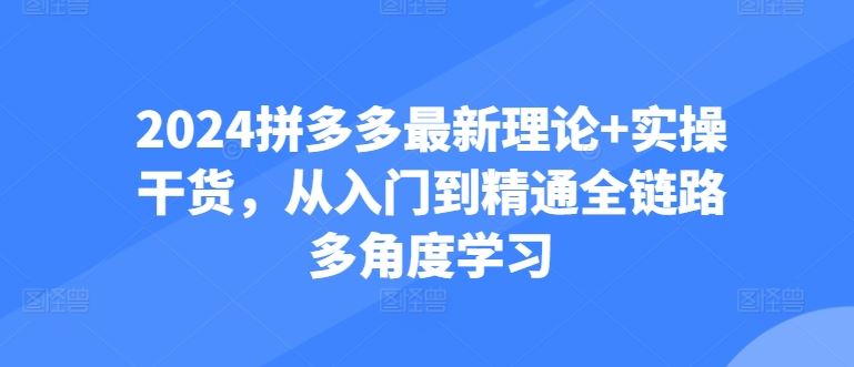 2024拼多多最新理论+实操干货,从入门到精通全链路多角度学习-轻创社项目网