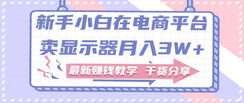 (11053期)新手小白如何做到在电商平台卖显示器月入3W+,最新赚钱教学干货分享-轻创社项目网