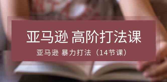 亚马逊高阶打法课,亚马逊暴力打法(14节课)-轻创社项目网