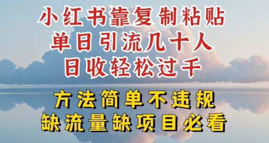 小红书靠复制粘贴单日引流几十人目收轻松过千,方法简单不违规【揭秘】-轻创社项目网
