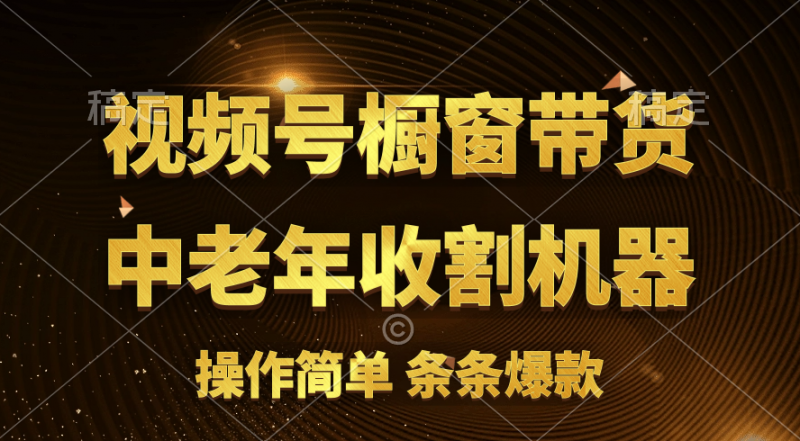 （11009期）[你的孩子成功取得高位]视频号最火爆赛道，橱窗带货，流量分成计划，条…-轻创社项目网