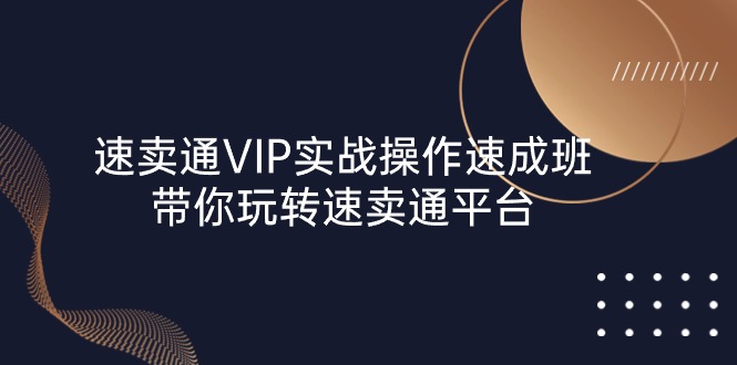 (10935期)速卖通 VIP实战操作-速成班,带你玩转速卖通平台(23节)-轻创社项目网