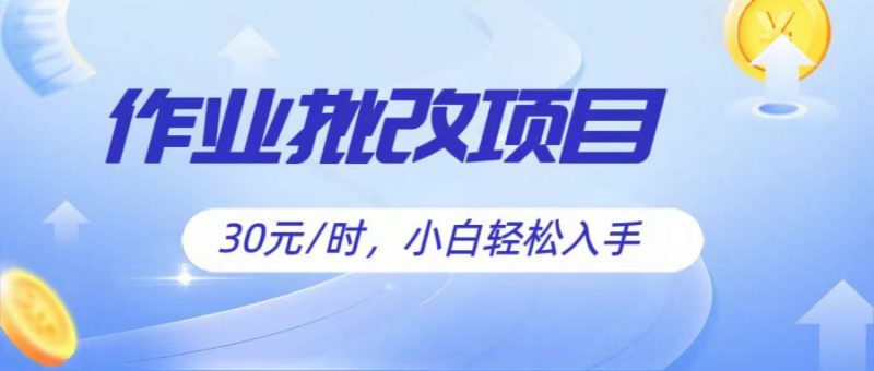 作业批改项目30元/时,简单小白轻松入手,非常适合兼职-轻创社项目网