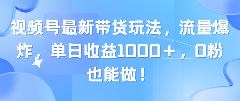 (10858期)视频号最新带货玩法,流量爆炸,单日收益1000+,0粉也能做!-轻创社项目网