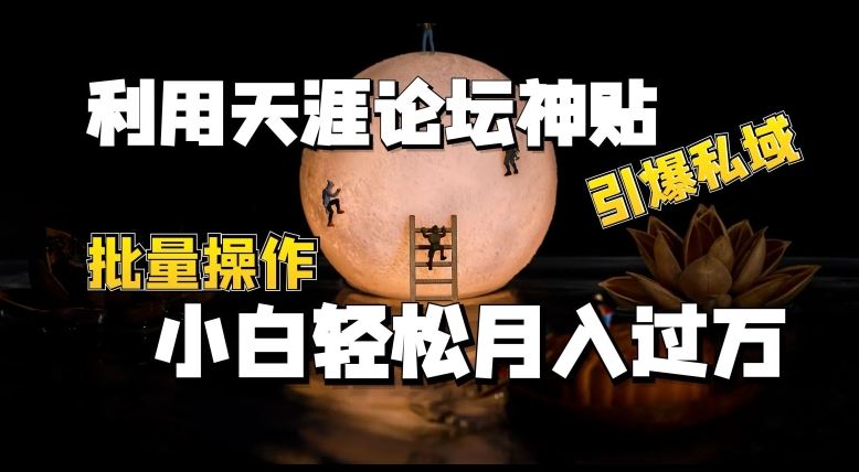 利用天涯论坛神贴,引爆私域,批量操作,小白轻松月入过w【揭秘】-轻创社项目网