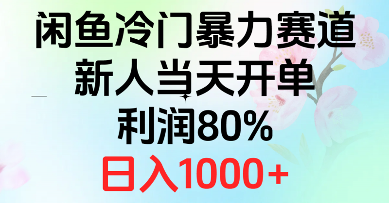(10985期)2024闲鱼冷门暴力赛道,新人当天开单,利润80%,日入1000+-轻创社项目网
