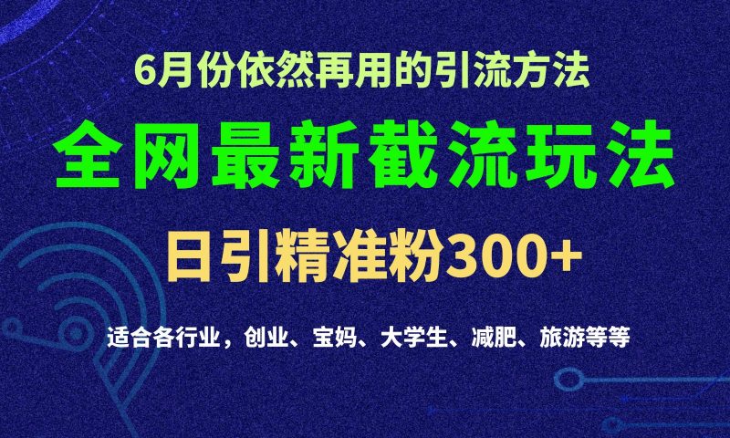 2024全网最新截留玩法,每日引流突破300+-轻创社项目网